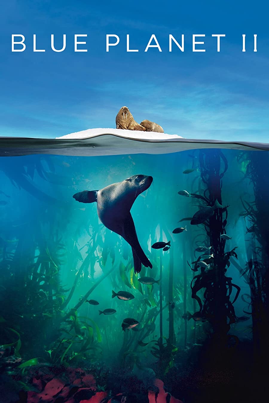 پوستر سریال Blue Planet Ii