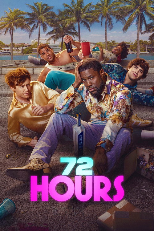 پوستر فیلم 72 Hours