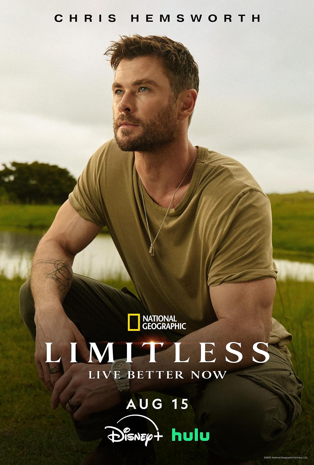 پوستر سریال Limitless