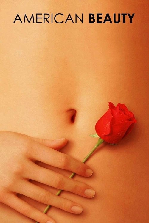 پوستر فیلم American Beauty
