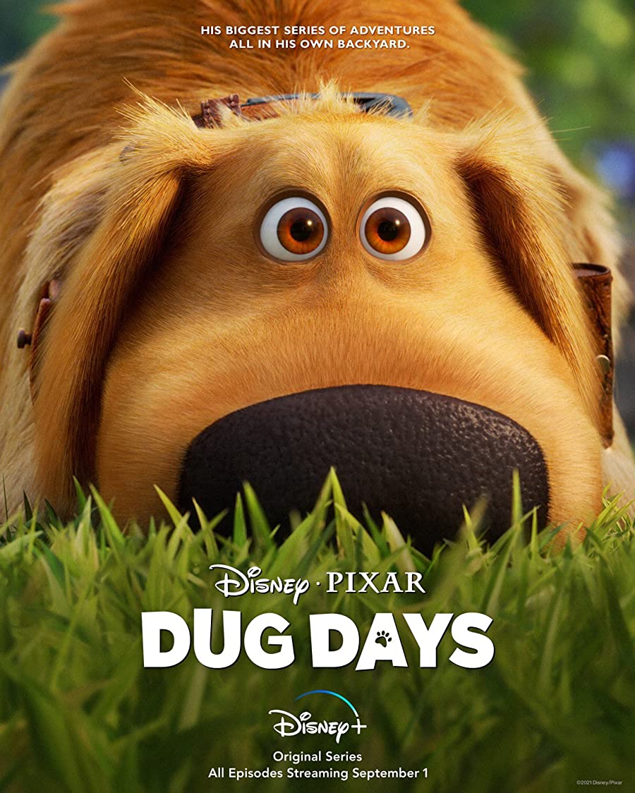 پوستر سریال Dug Days