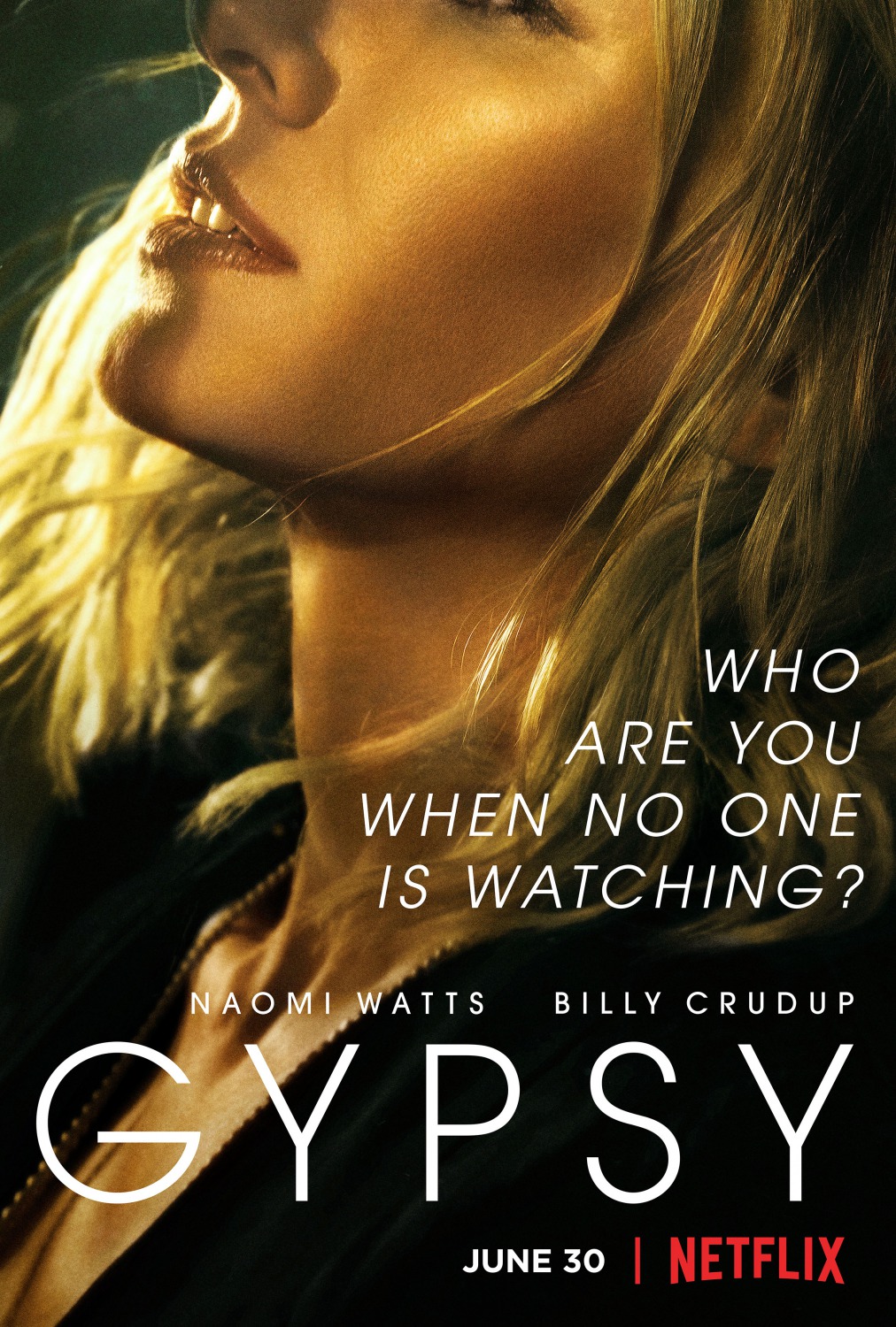 پوستر سریال Gypsy
