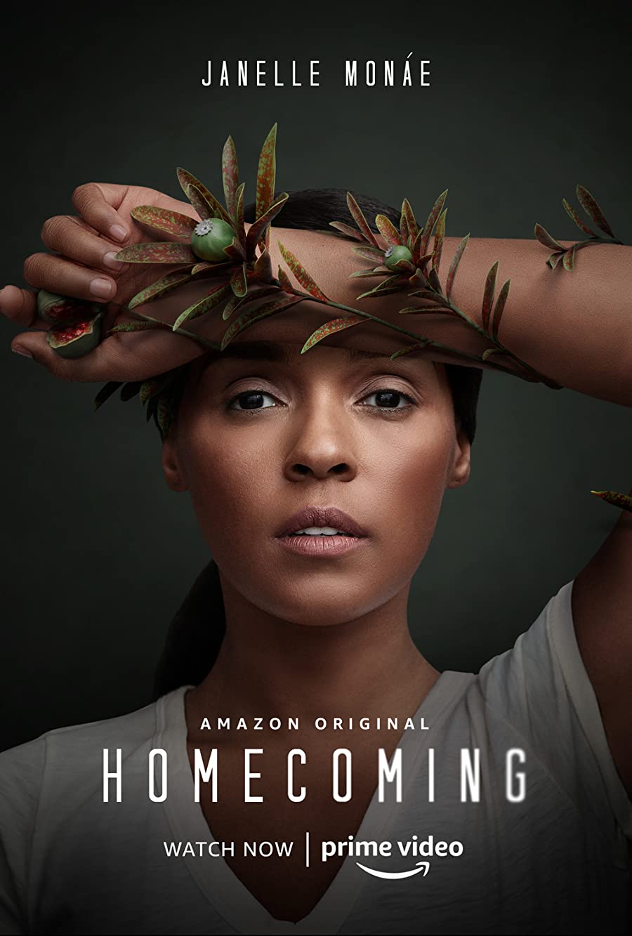 پوستر سریال Homecoming