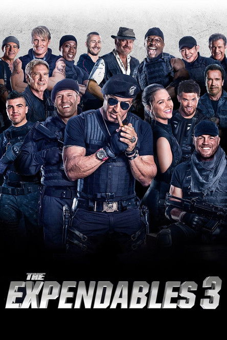پوستر فیلم The Expendables 3