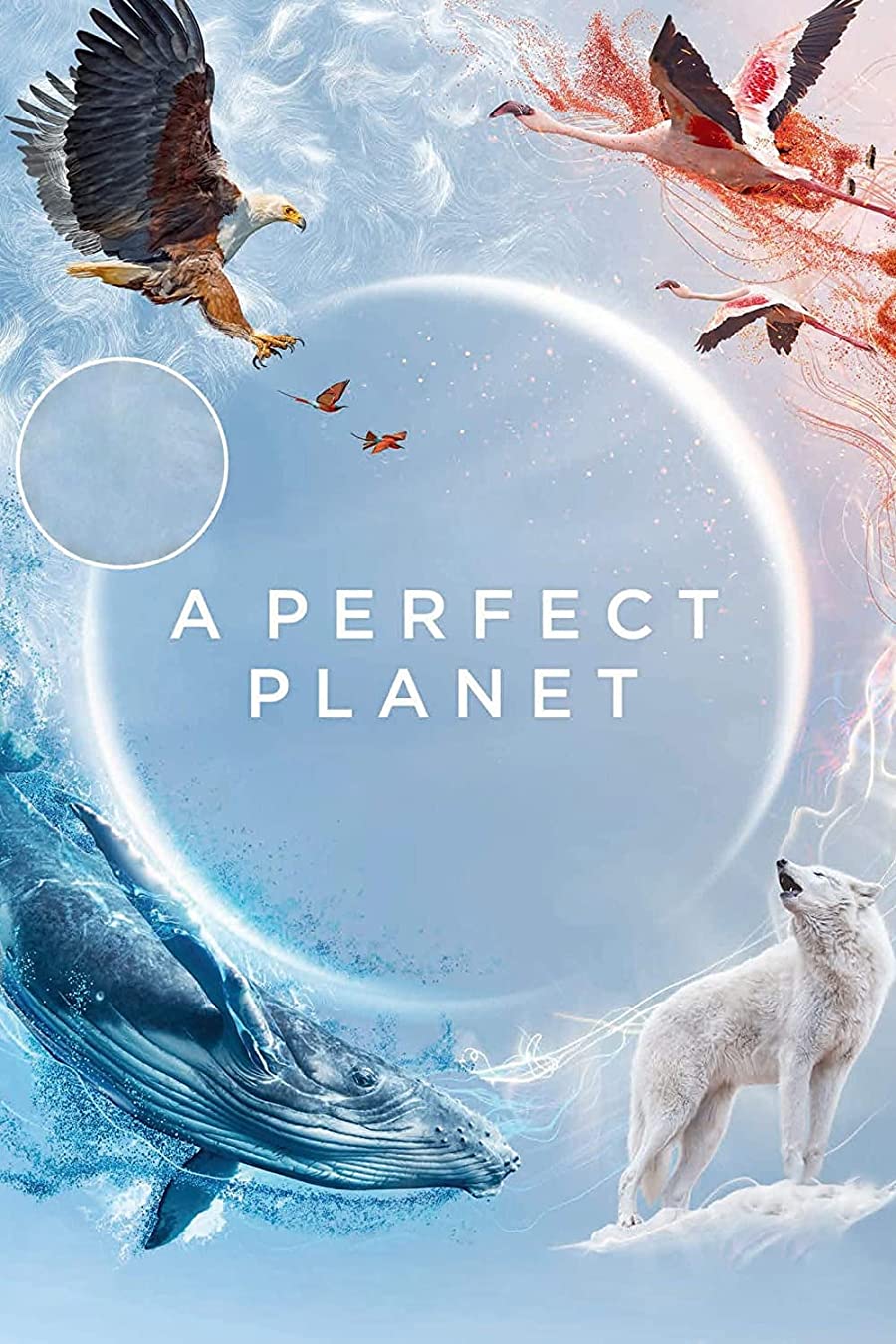 پوستر سریال A Perfect Planet
