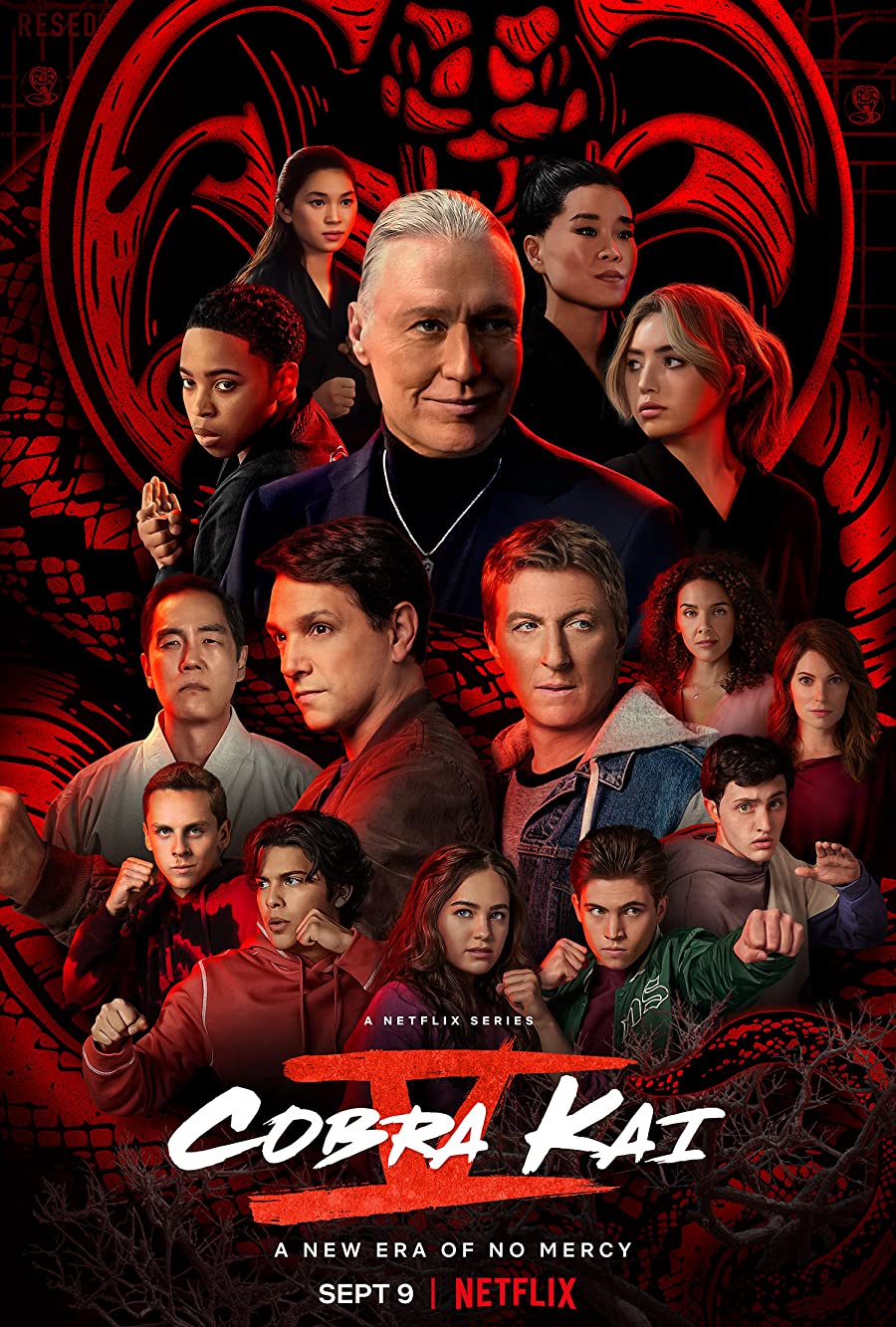 پوستر سریال Cobra Kai