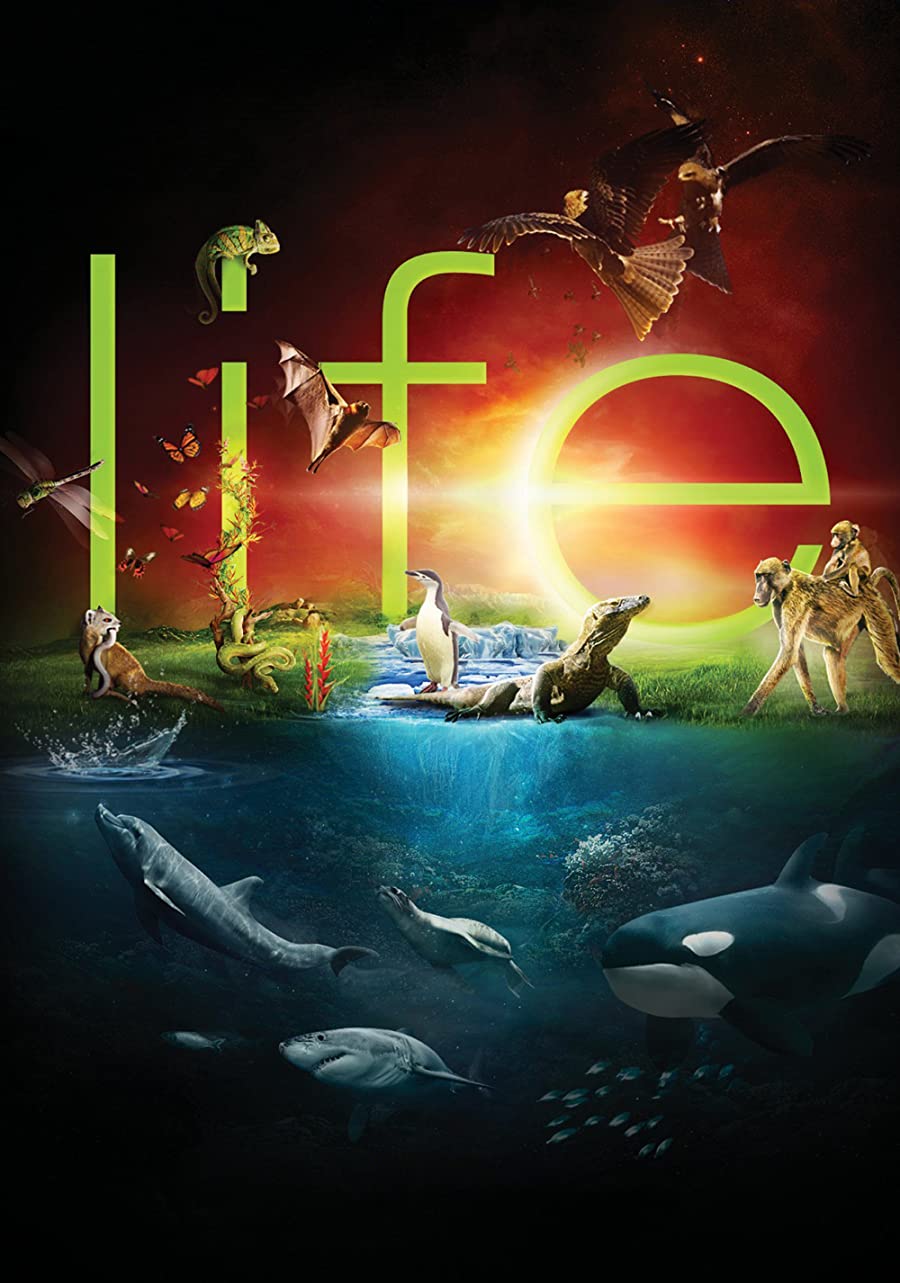 پوستر سریال Life