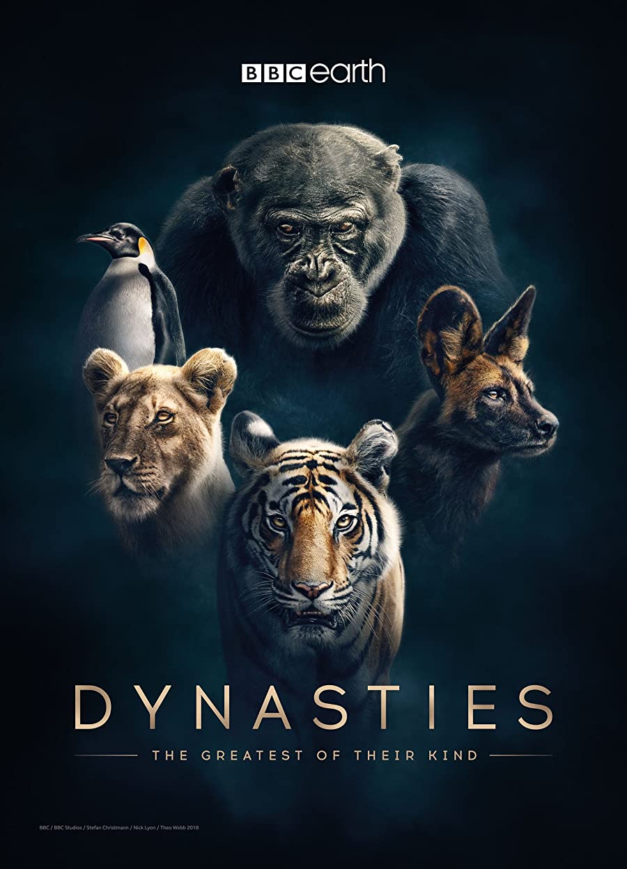 پوستر سریال Dynasties