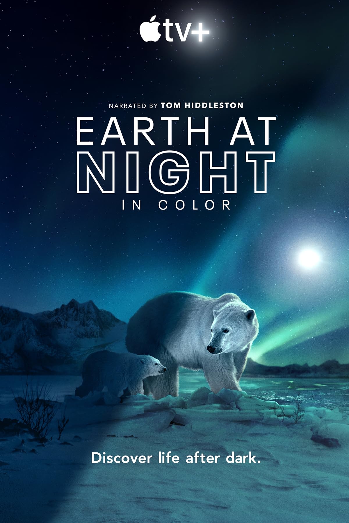 پوستر سریال Earth At Night In Color
