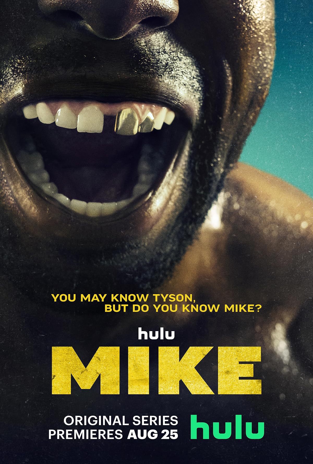 پوستر سریال Mike