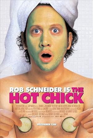پوستر فیلم The Hot Chick