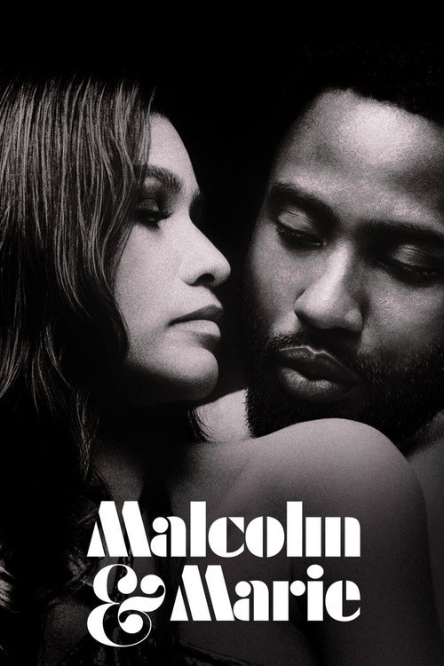 پوستر فیلم Malcolm Marie