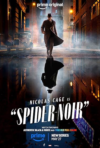 پوستر سریال Spider Noir