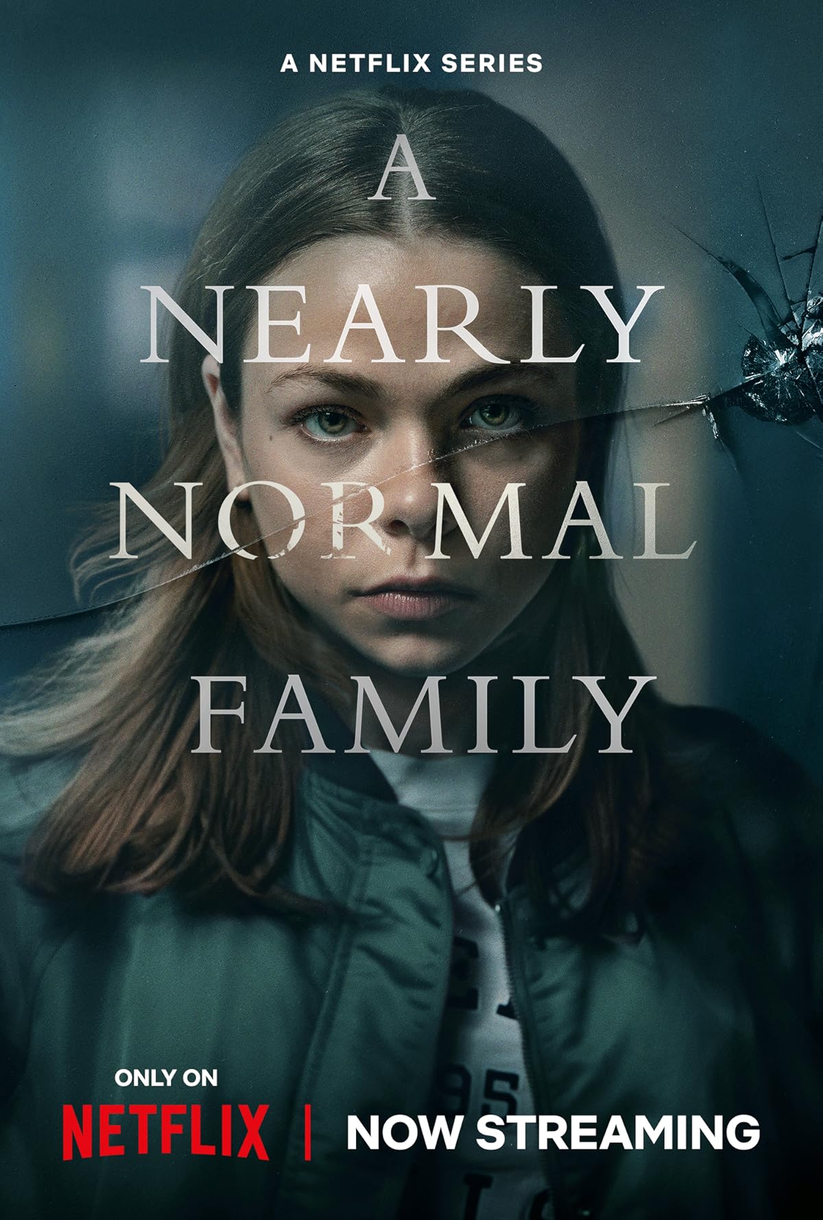 پوستر سریال A Nearly Normal Family