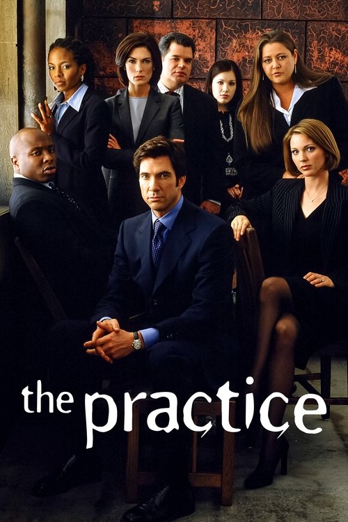 پوستر سریال The Practice