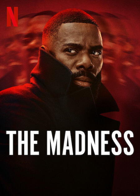پوستر سریال The Madness