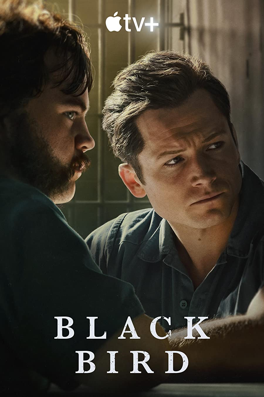 پوستر سریال Black Bird