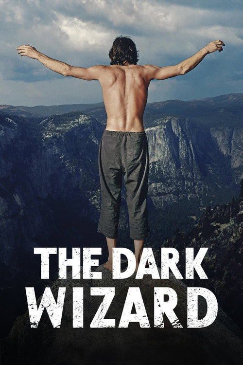 پوستر سریال The Dark Wizard