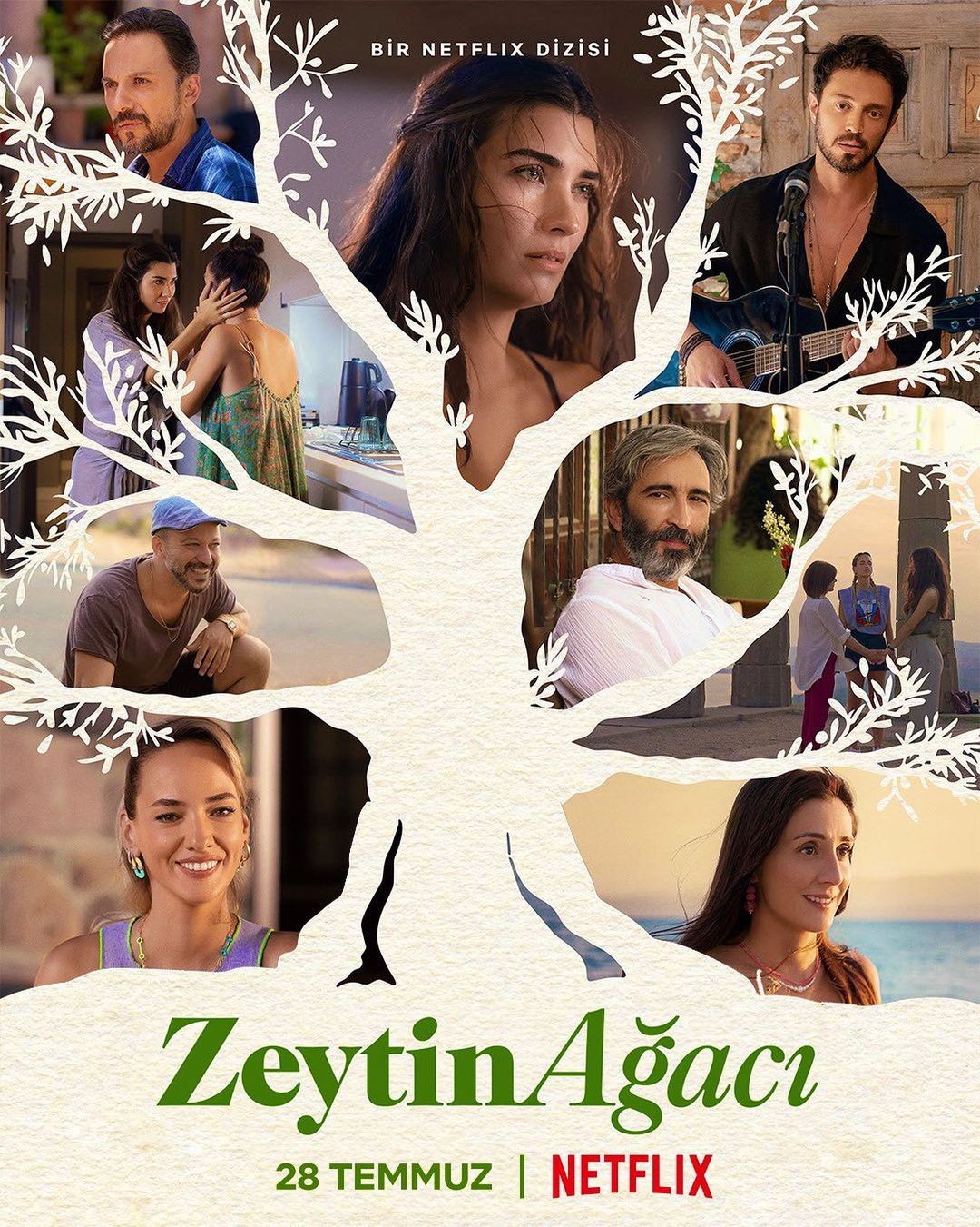 پوستر سریال Zeytin Ağacı